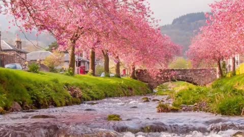 Pink beautiful scenery