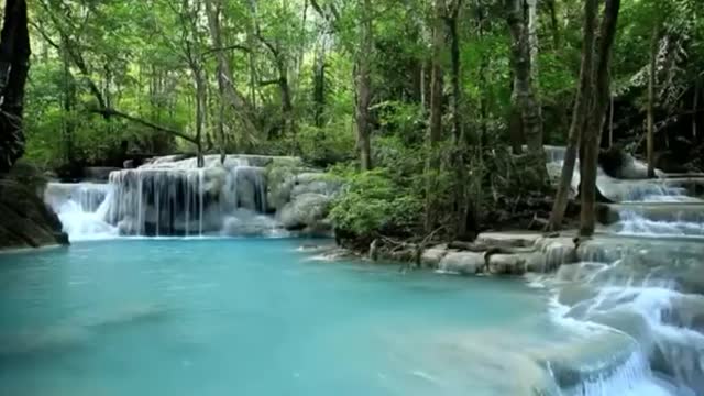 The sound of water and nature with relaxing music