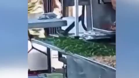 Crazy lady fighting over food