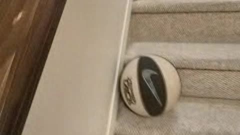 MONDAY, NOV 13, 11:35am finish, 2023.