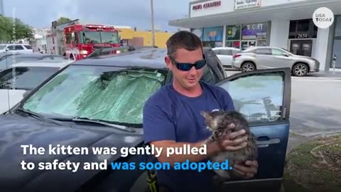 Fort Lauderdale firefighters rescue kitten trapped in car engine