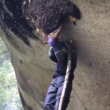 funny|prank|jokes|funny jokes|dad jokes|funny memes|funny video|fun|laughing|funny animal|knock