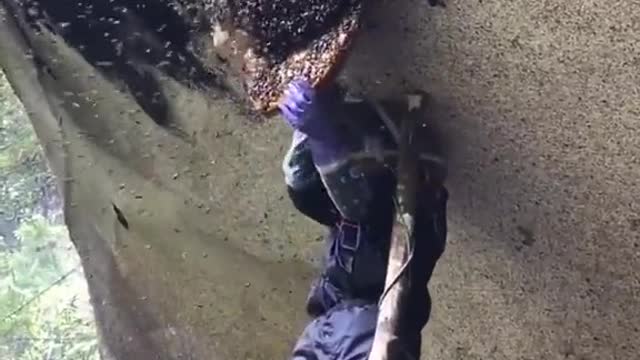 funny|prank|jokes|funny jokes|dad jokes|funny memes|funny video|fun|laughing|funny animal|knock
