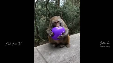 Funny Moments hilarious