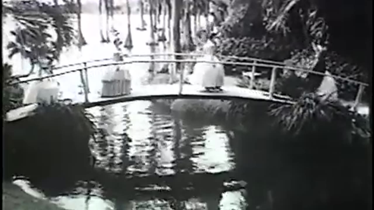 Old Florida Tourist Promo (Pt 1)