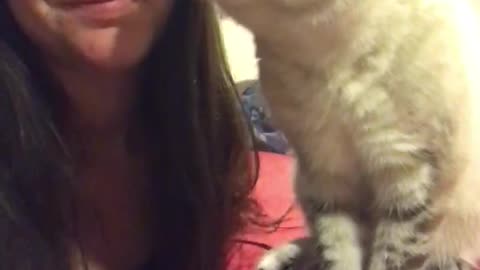 Crazy Eyed Kitty Wants Kisses