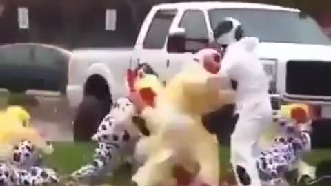 Cow 🐮 vs Chicken 🐔