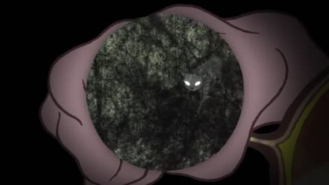 Explanation of pupil