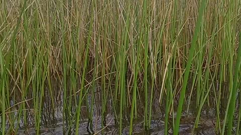 NAVEGANDO EN LA LAGUNA MAS PELIGROSA