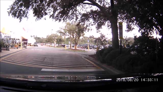 Moving Plant Cart Vs. Truck