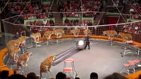 RUSSIAN CIRCUS