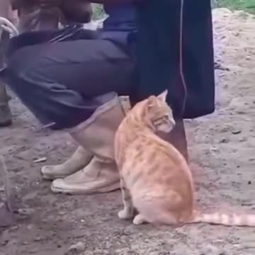 More please, more.. 😅