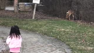 The cutest bunny in the world and three deers.