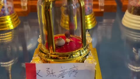 The Rare relic of the Buddha from Manjusri