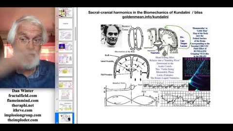 Fractal Frequency Key to Vision with Dan Winter