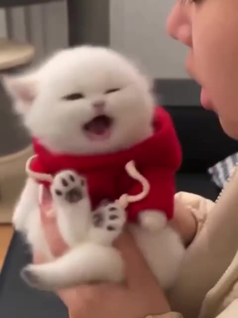 Playing hard to get 😂😂