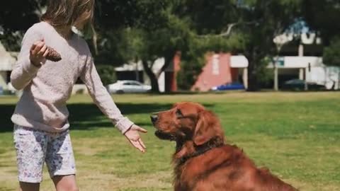 Girl playing with a dog it's very nice