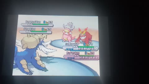 Pokemon White2:A Flavoring Fruitful Tag Battle