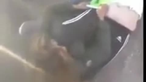 Best Street Fight Compilation 2024 #58