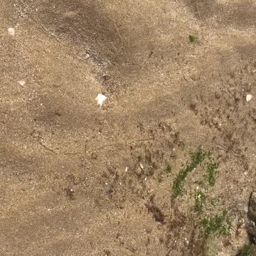 Tan-Tan beach (El Ouatia)