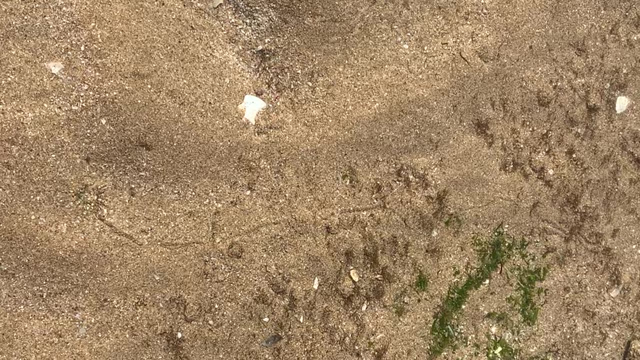 Tan-Tan beach (El Ouatia)