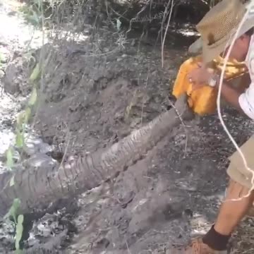 A kind man in the world.