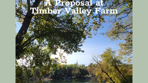 Surprise Marriage Proposal Riverbank Romance A Proposal at Timber Valley Farm