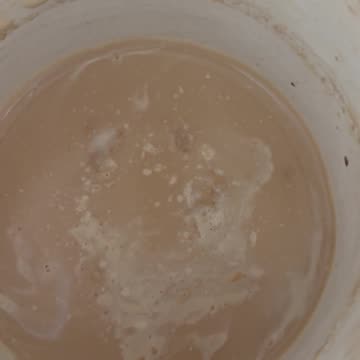 TIMELESS - Relationships..Business..Baby Good News Expected