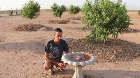 Water in the Desert