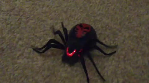 Scary mutant spider charges