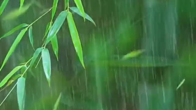Meditation music with relax sound