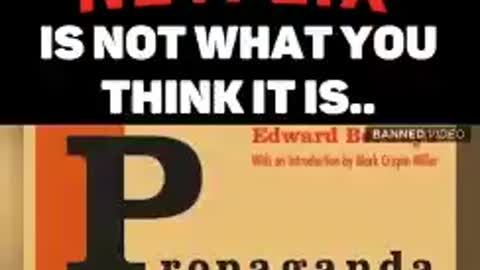 "NETFLIX" is not what you think it is"