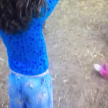 Little Girl Attacked While Catching Chickens