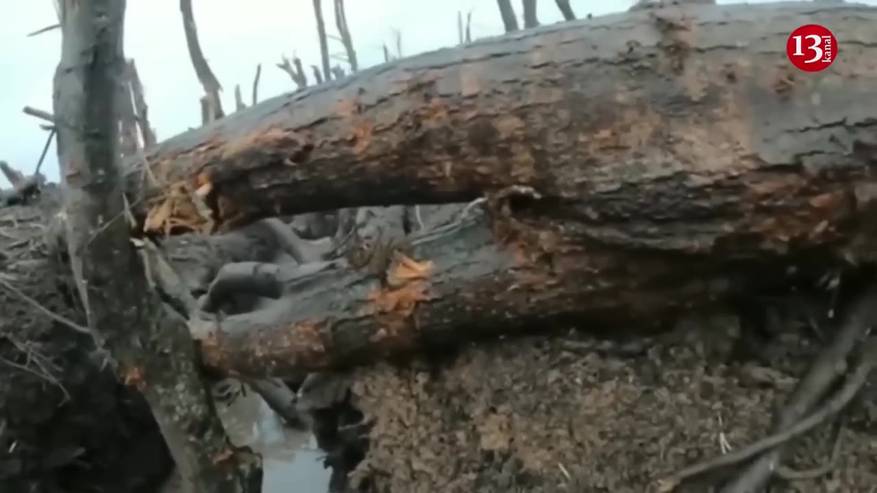 Getting out of armored vehicle, Ukrainian fighters shell Russian position-Close-range combat footage