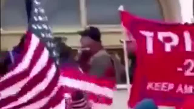 Who stormed the Capitol?