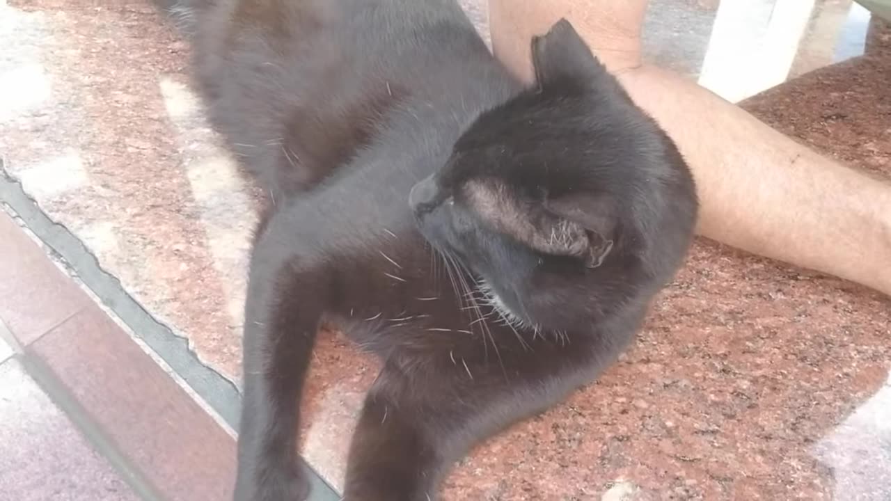 20240417 163135 Tux Relaxed Snuggle