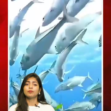 ఈ ప్రాంతాల్లో మునగడం కుదరదు! #short #deadsea #lakehillier #monolake | FBTV NEWS