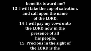 Psalms 116 King James version