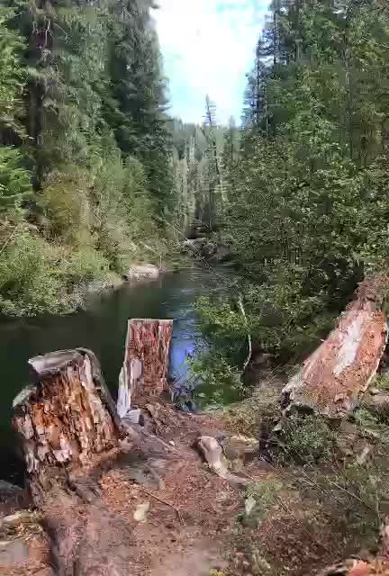 Fairwell Bend on the creek