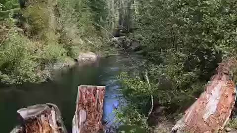 Fairwell Bend on the creek