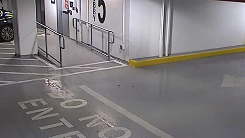 6080RHOBG3G305ANorthLobbyEntry_2021-01-05_16h20min02s633ms.mp4