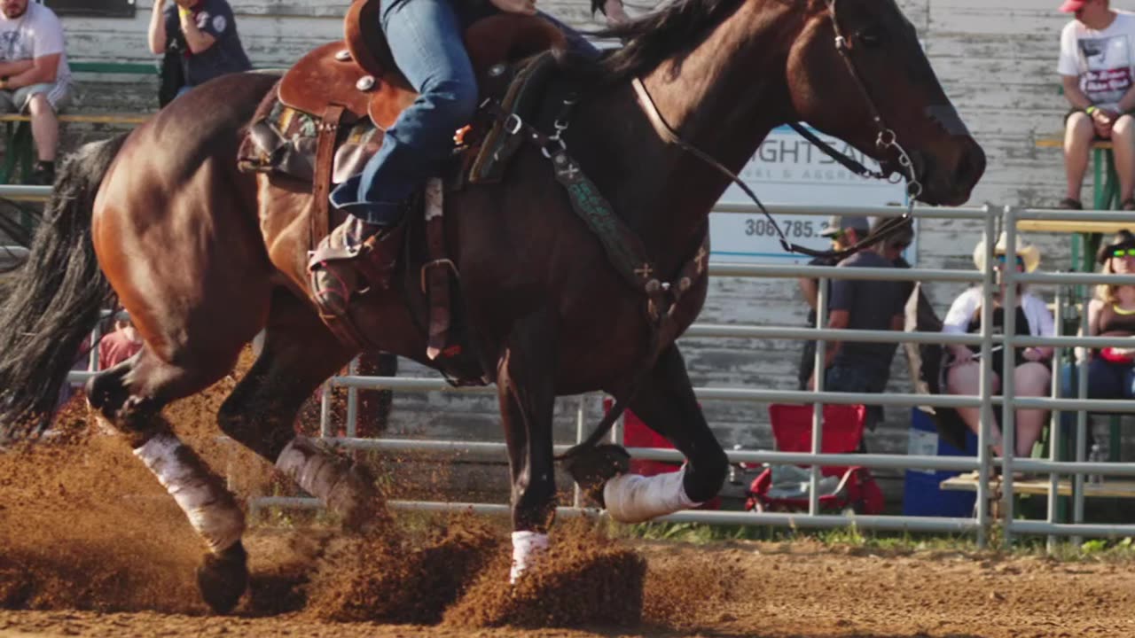 Swift Current Rodeo