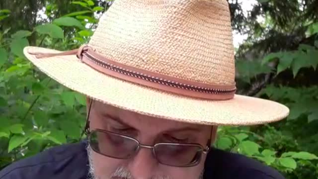 Noonday Prayer with Fr. John Harris