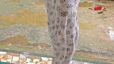 Wait for the twist