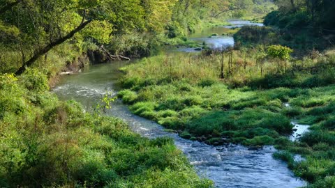 Yellow River State Forest 2