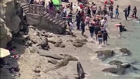 tourist season