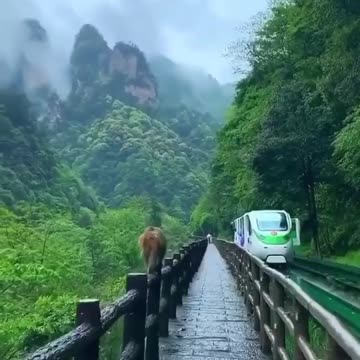 Beautiful.. Zhangjiajie National Park, China 🇨🇳