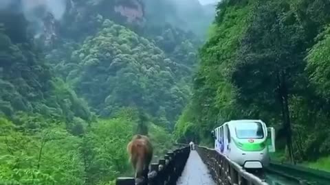 Beautiful.. Zhangjiajie National Park, China 🇨🇳