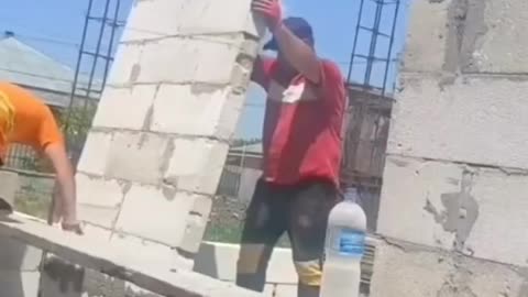 Seven different fun in small video