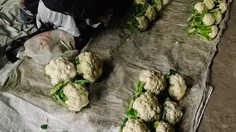 Old Man Selling Vegetables in Indian Market